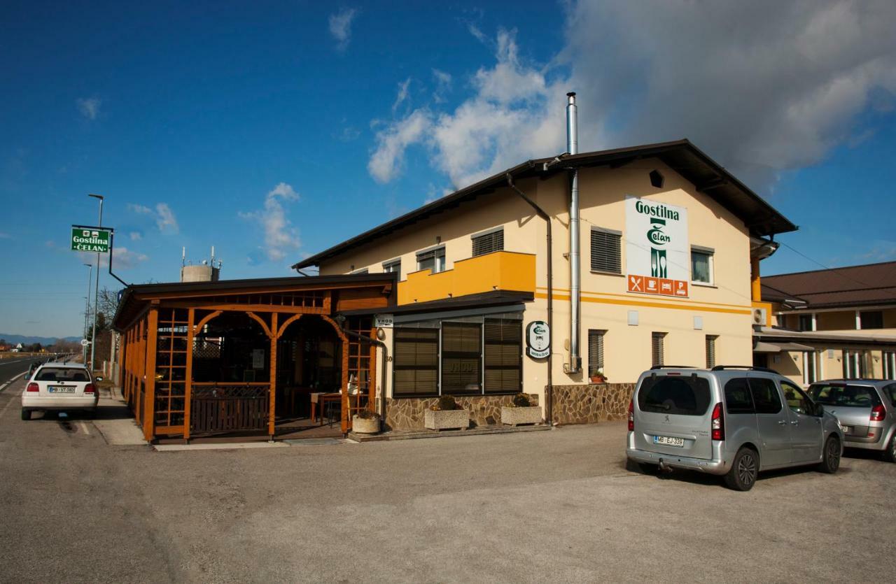 Guest House Celan Spodnja Hajdina Exterior photo